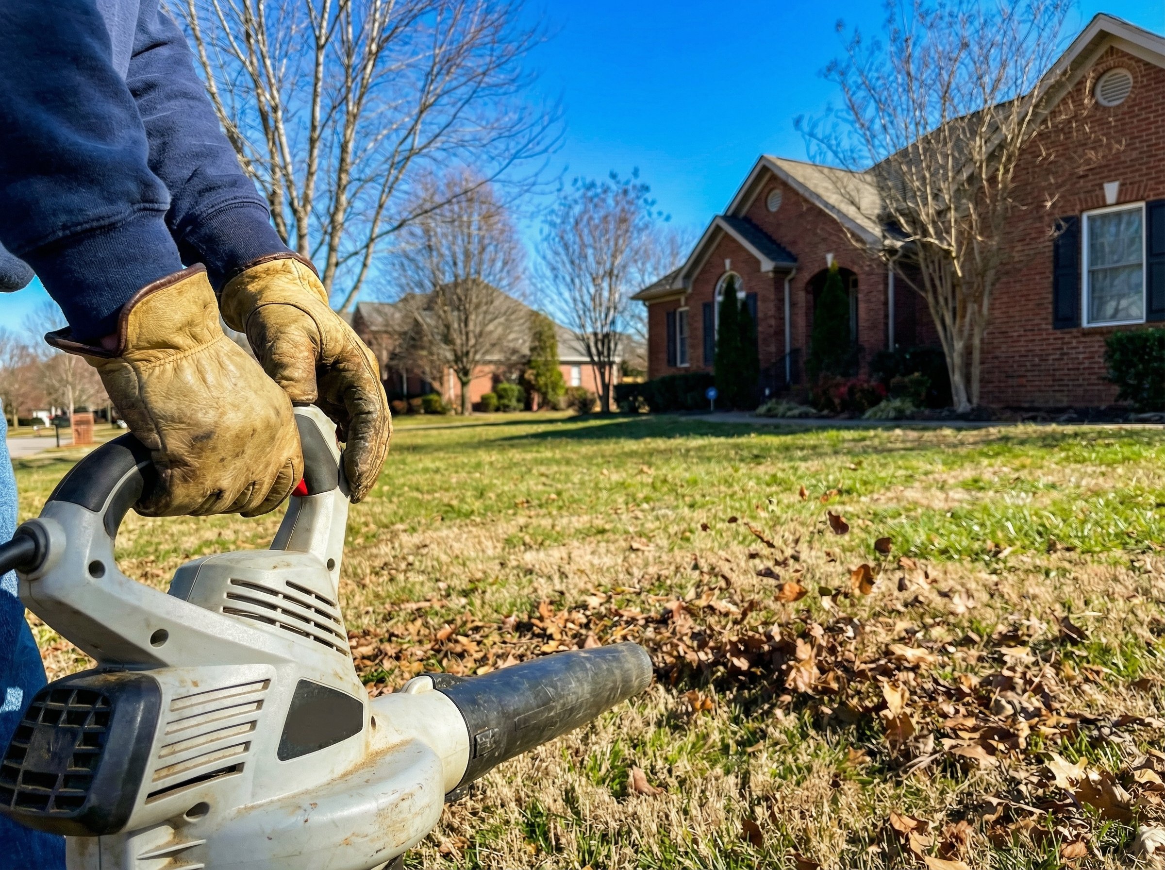 Article section image